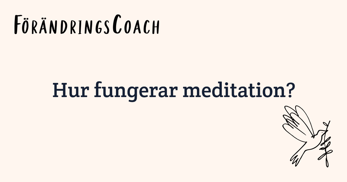 Hur fungerar meditation? | Förändringscoach.se